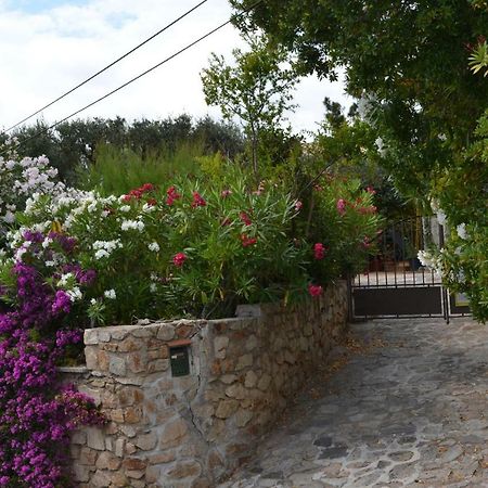 Apartment Les Moulins Saint-Tropez Eksteriør billede