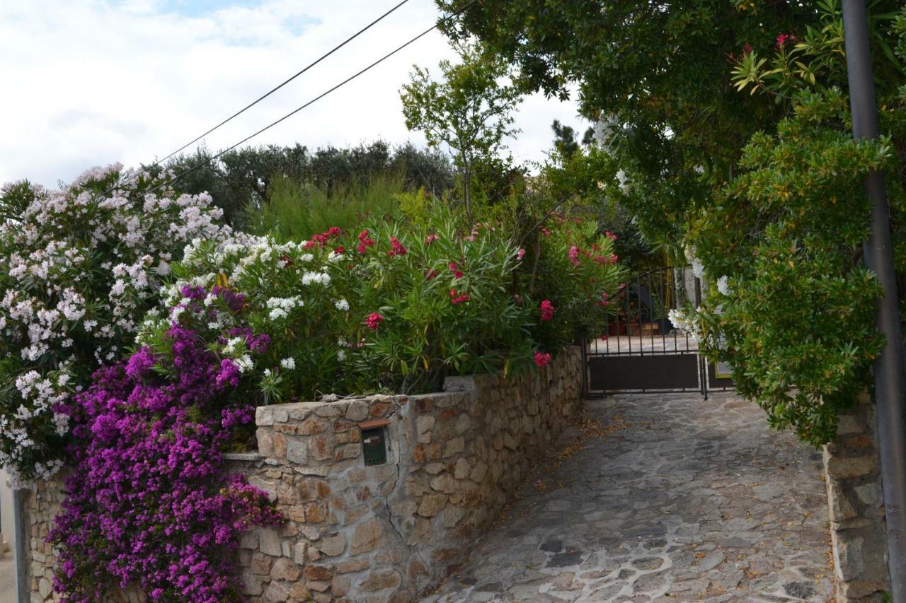 Apartment Les Moulins Saint-Tropez Eksteriør billede